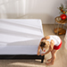 Woman putting the essential protector on a mattress